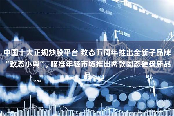 中国十大正规炒股平台 致态五周年推出全新子品牌“致态小翼”, 瞄准年轻市场推出两款固态硬盘新品