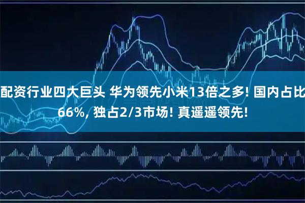 配资行业四大巨头 华为领先小米13倍之多! 国内占比66%, 独占2/3市场! 真遥遥领先!