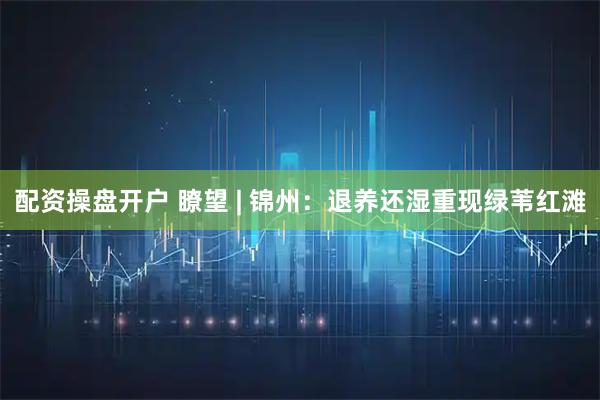 配资操盘开户 瞭望 | 锦州：退养还湿重现绿苇红滩